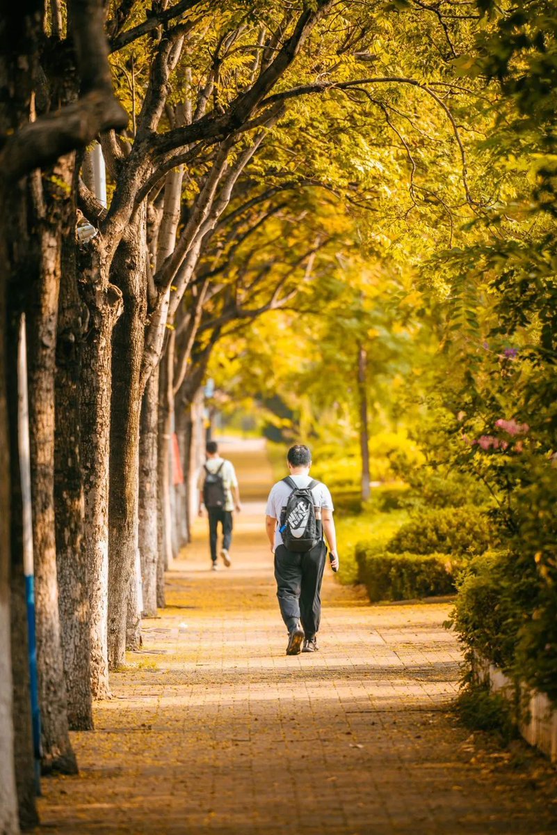 Williamsmnr8a's tweet photo. Nuevo semestre empieza hoy! Con cuadernos llenos de ideas y mucha energía para aprender, vamos a darlo todo en esta etapa llena de nuevos desafíos y amistades! ， https://t.co/XKWQBd21cs