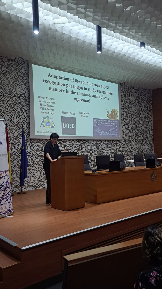 sepc2026's tweet photo. Continuing Session 5: Comparative Cognition and Problem Solving with Héctor Martínez-García and Jaime Figueroa. 🧠🔬

Another afternoon full of fascinating research and discussion!
#SEPC2026 https://t.co/lsTlPFNEIT