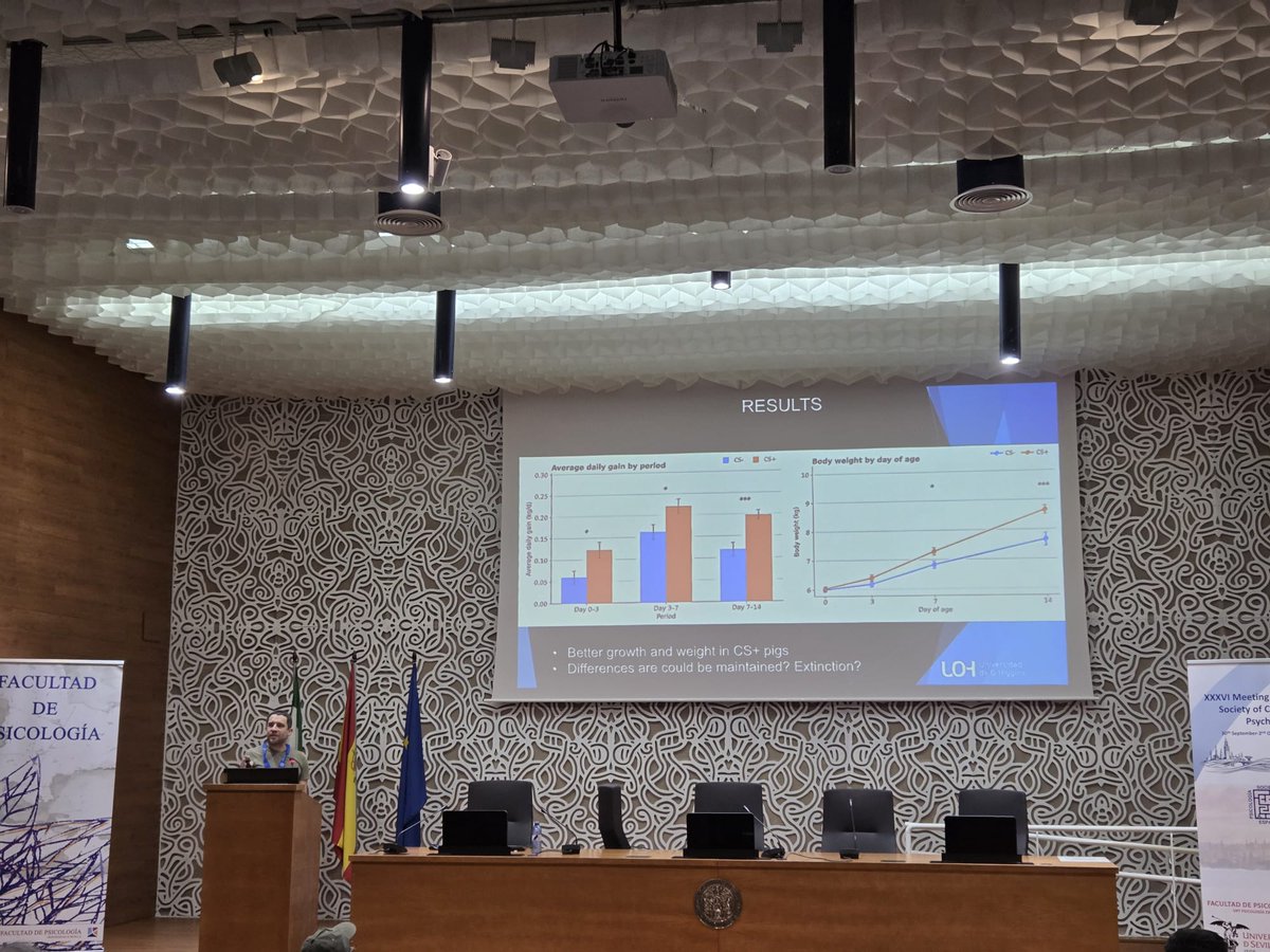 sepc2026's tweet photo. Continuing Session 5: Comparative Cognition and Problem Solving with Héctor Martínez-García and Jaime Figueroa. 🧠🔬

Another afternoon full of fascinating research and discussion!
#SEPC2026 https://t.co/lsTlPFNEIT