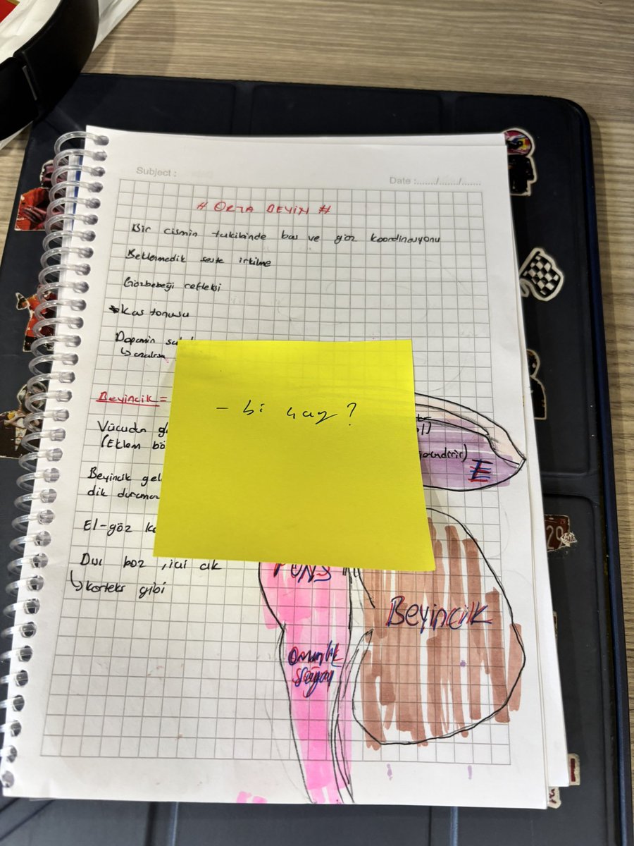 oncaprazbag0's tweet photo. Lan on dakika molaya çıktım bunu kim bıraktı amk https://t.co/qQ6FNmtsBx