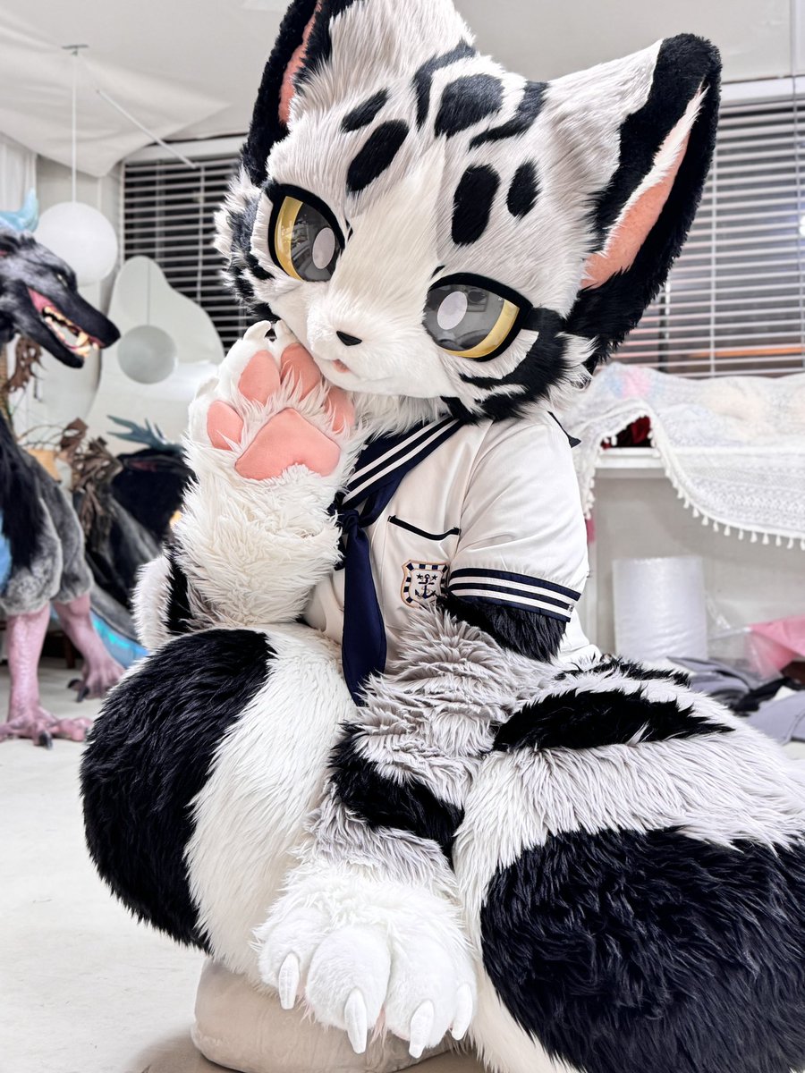 CheeseCat_fur's tweet photo. 起司好可爱！
#fursuit #起司猫 https://t.co/SeyZcZxz2M