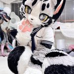 Photo by 起司 (@CheeseCat_fur)