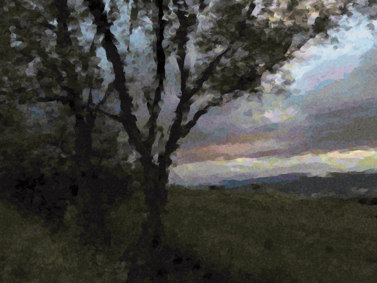 b1rdf1sh's tweet photo. Photographs used are my own.
#p5js #processing #rybitten #spectraljs #generativeart #genart #creativecoding https://t.co/5k0iWTv8E9