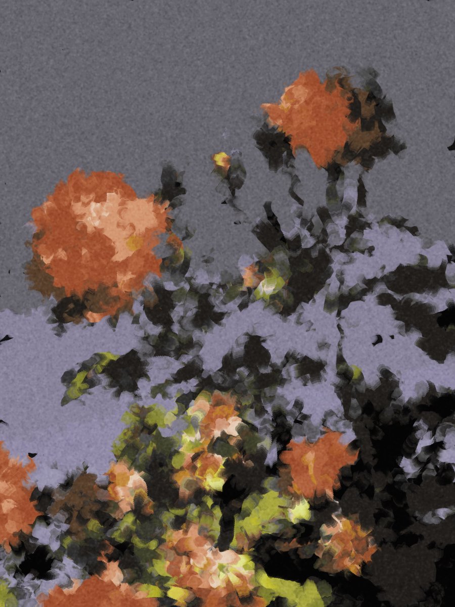 b1rdf1sh's tweet photo. Photographs used are my own.
#p5js #processing #rybitten #spectraljs #generativeart #genart #creativecoding https://t.co/5k0iWTv8E9