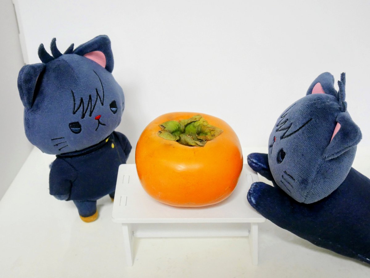 Riku_28's tweet photo. めぐにゃんさん「かきをみると、あきがきたなぁってかんじますね」 https://t.co/TJF9NHFVDr