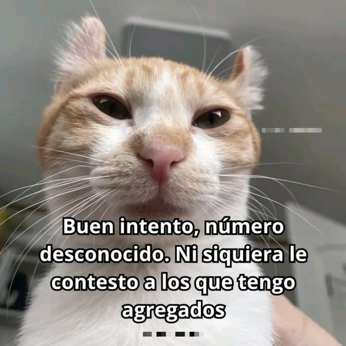 hormiverse's tweet photo. yo https://t.co/14E1OTJUcS