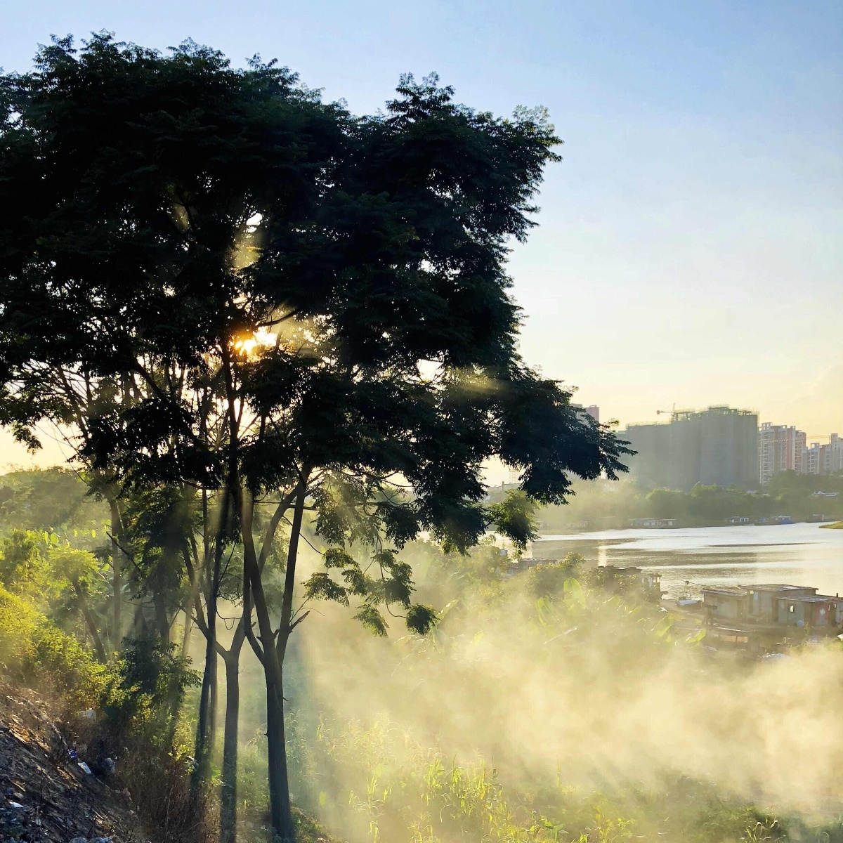 spark_steph_5ce's tweet photo. In Bishao, the morning breeze carries faint miasma, painting a quiet and misty scene. https://t.co/LIMnVETKNg