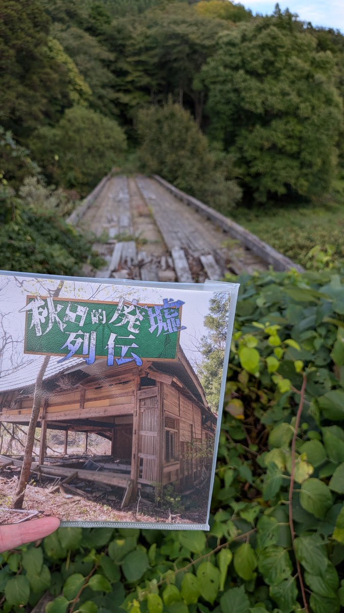 tunnelbridge09's tweet photo. @sajinage_L GETしてました‼️ https://t.co/ueMlt9aIns