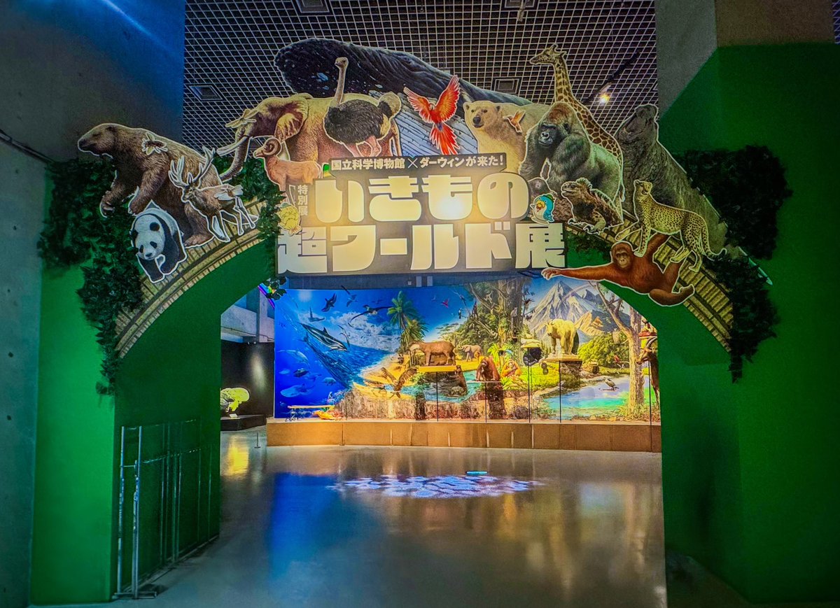 jeadoredisney's tweet photo. ❝いきもの超ワールド展 国立科学博物館×ダーウィンが来た！❞
太古から現在まで，環境変化に適応してきた生き物の生存戦略を，五感·エネルギー補給·サイズ·移動·集団·命のバトンの6テーマから紐解く展覧会で，科博の標本とNHKの迫力ある映像を組み合わせ，生き物の進化や生き抜く知恵を体感できます🔍 https://t.co/YYT0XSxcKI