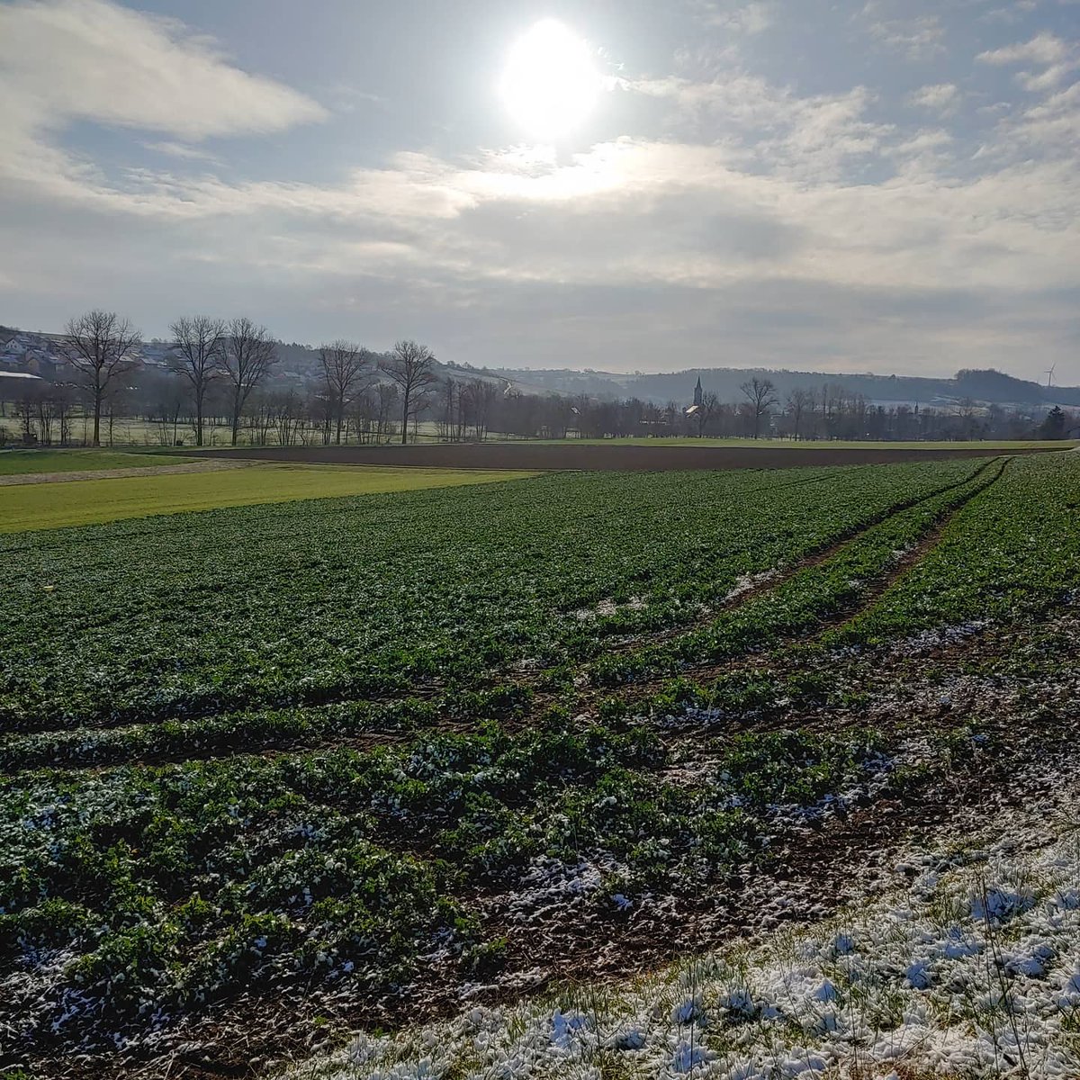 JakoBaltazar's tweet photo. Guten Morgen! @liebliches_taubertal @tauberphilharmonie @landkreiswuerzburg @romantisches. franken @nature @umweltministerium @ardmoma #franken #taubertal #lieblichestaubertal #morgen #april #aprilwetter #nature #natur #sonne #schnee #spaziergang https://t.co/QAQWkxujgN