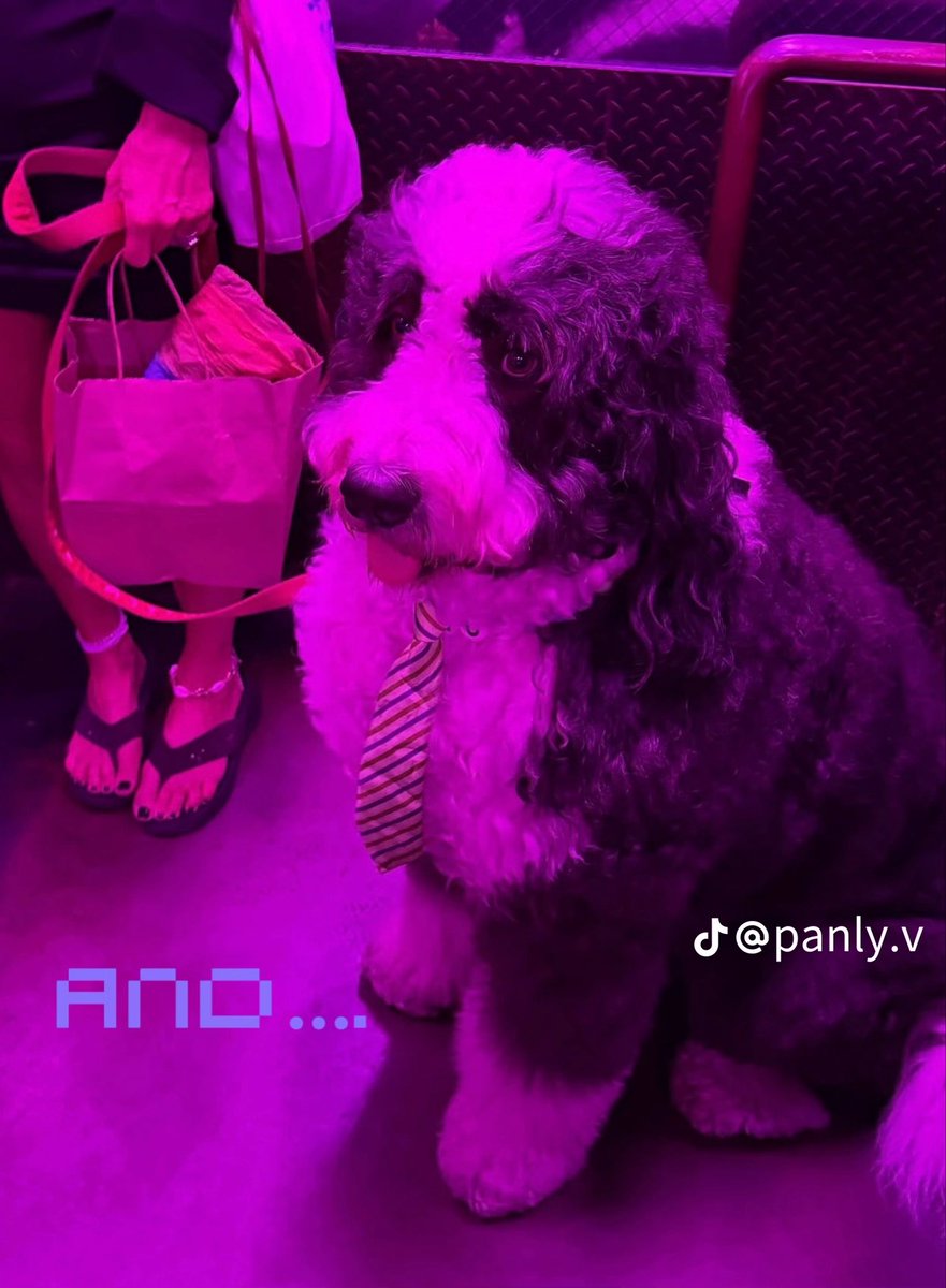 MilkLoveTH's tweet photo. [TikTok Update] @ panly.v ( 011026 ) 

🔗 https://t.co/hrX6DET2cv

😓

#MilkPansa #mimiv https://t.co/GUoGCzghgA