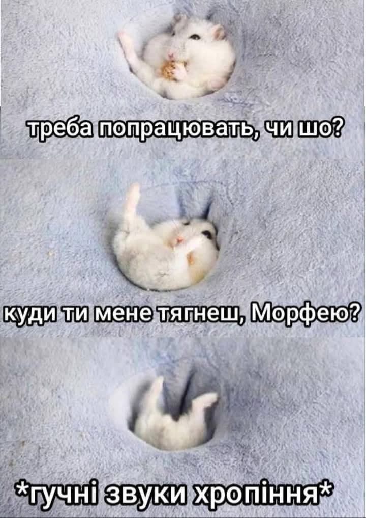 123gena1472's tweet photo. Йя https://t.co/sk1GFEAROD