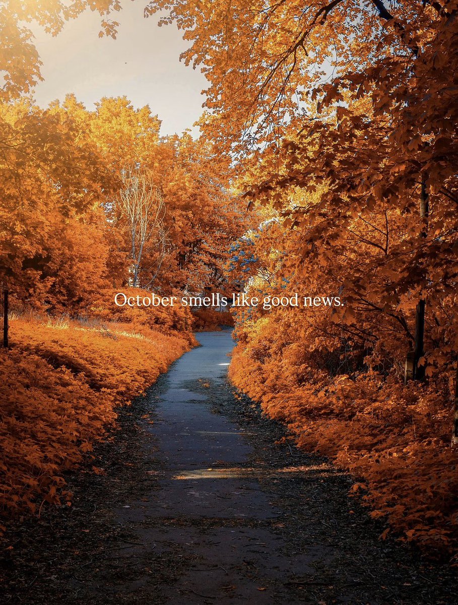 MissTinyAnne's tweet photo. May the “O” in October be for Overflowing blessings! 🤲🏾🤎✨🍁🍂 https://t.co/ctRJvx4er8