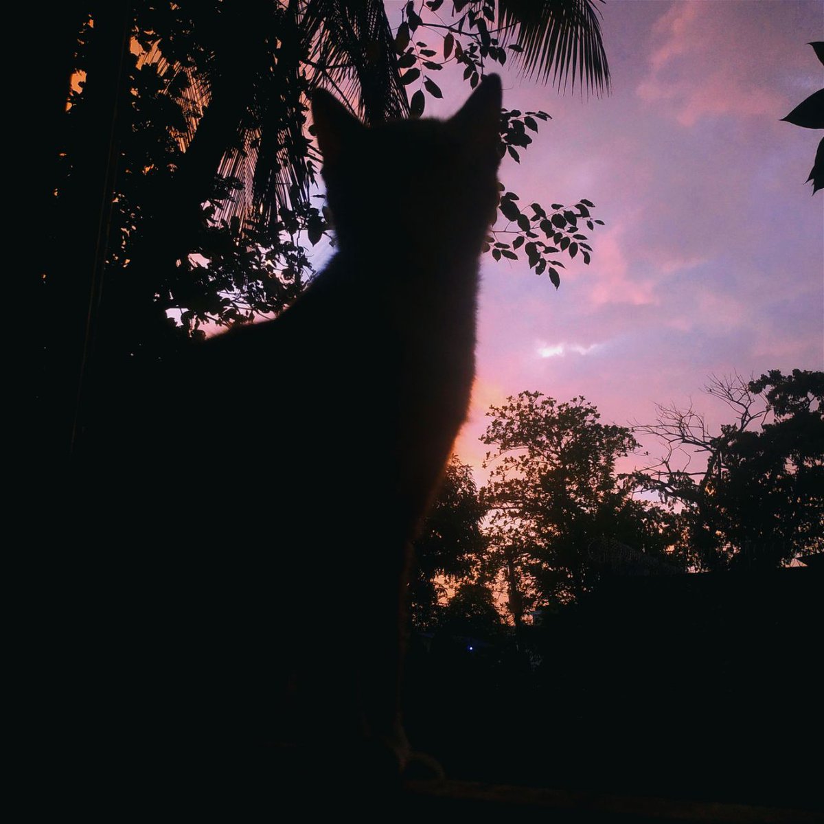 Gantgaw13's tweet photo. cause she was PINK CLOUDING from the thrill of it!!!!
#pinkclouding https://t.co/70KL83AAde