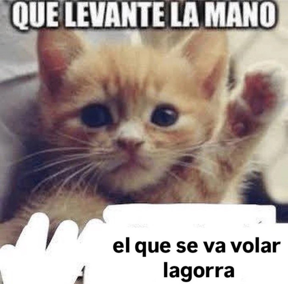 sofhinatasimp's tweet photo. cuando se esta muriendo tu abuela y tenes parciales y estas a punto de rendirte https://t.co/XRF2rLlJU6