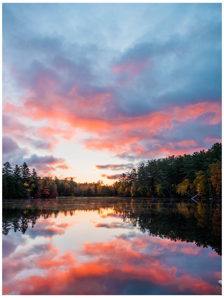 nev_in_color's tweet photo. photos i took in autumn 🍂 https://t.co/9f1ZUIJ5jt