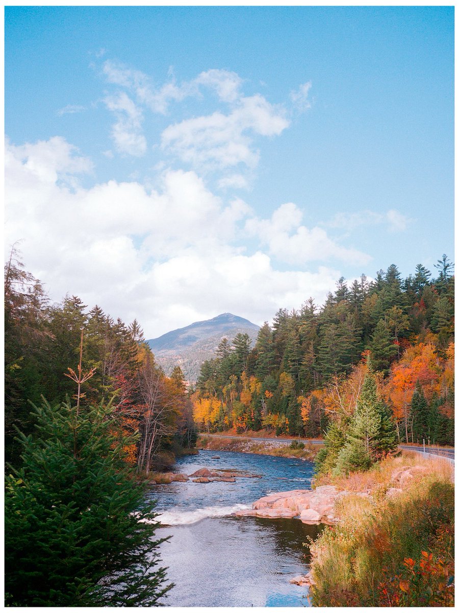 nev_in_color's tweet photo. photos i took in autumn 🍂 https://t.co/9f1ZUIJ5jt