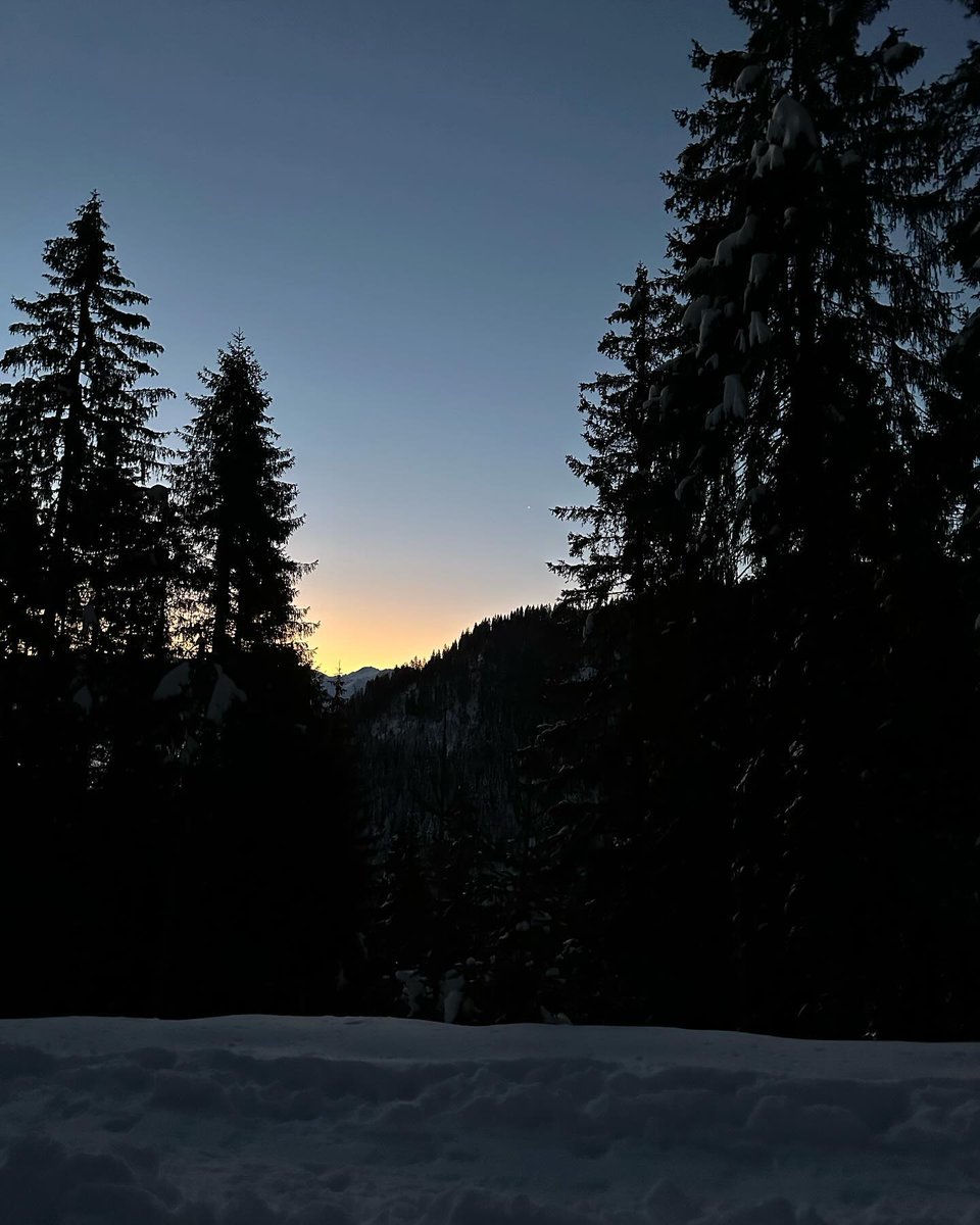 nazreenamin's tweet photo. Das erste Mal mit den Schneeschuhen unterwegs gewesen… ein super Erlebnis 🥰 #schneeschuhwandern #schnee #glaubenberg #langis #hiking #wandern #berge #sonne #wunderschön #fantastisch https://t.co/PmfFSAPlH0