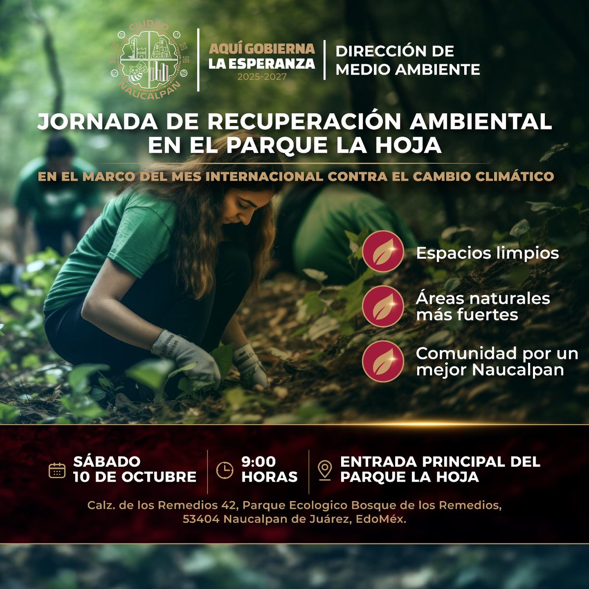GobNau's tweet photo. ¡Sumemos esfuerzos por un Naucalpan más verde!🌿 

Participa en la Jornada de Recuperación Ambiental en el Parque La Hoja este sábado 10 de octubre, a las 9:00 horas. 🌱🤝

👉Juntas y juntos contribuimos a mantener espacios limpios y áreas naturales más fuertes para nuestra comunidad.

📍 Entrada principal del Parque La Hoja.

#AquiGobiernaLaEsperanza #Naucalpan #MedioAmbiente