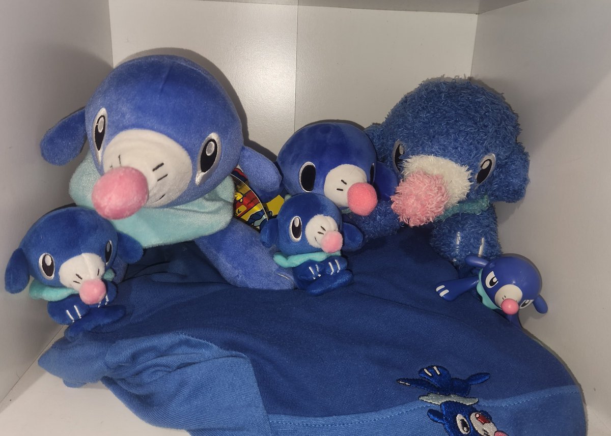 DYN4AM0's tweet photo. Popplio collection !! https://t.co/Qtm1AHNDZX