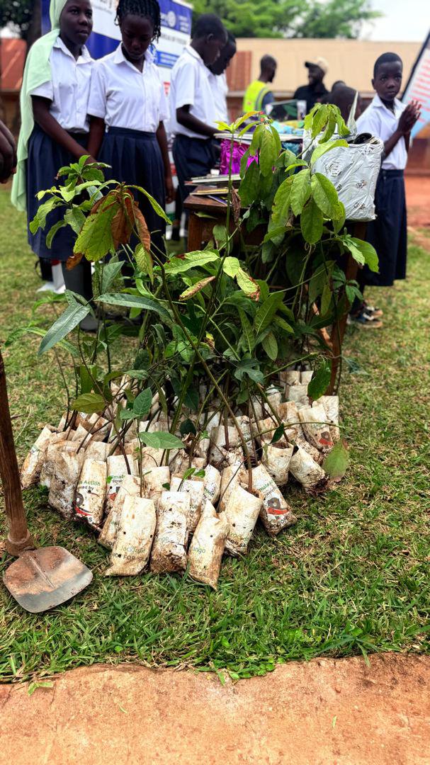 RCBujuukoKireka's tweet photo. Today we facilitated our community school(St Noah Mawagali P/S) with scholastic materials and planted more trees to keep our little ones in a healthy learning environment. Every child deserves an education ๐
#Rotary_eyamba
#Serviceaboveself https://t.co/asvZq68hyU