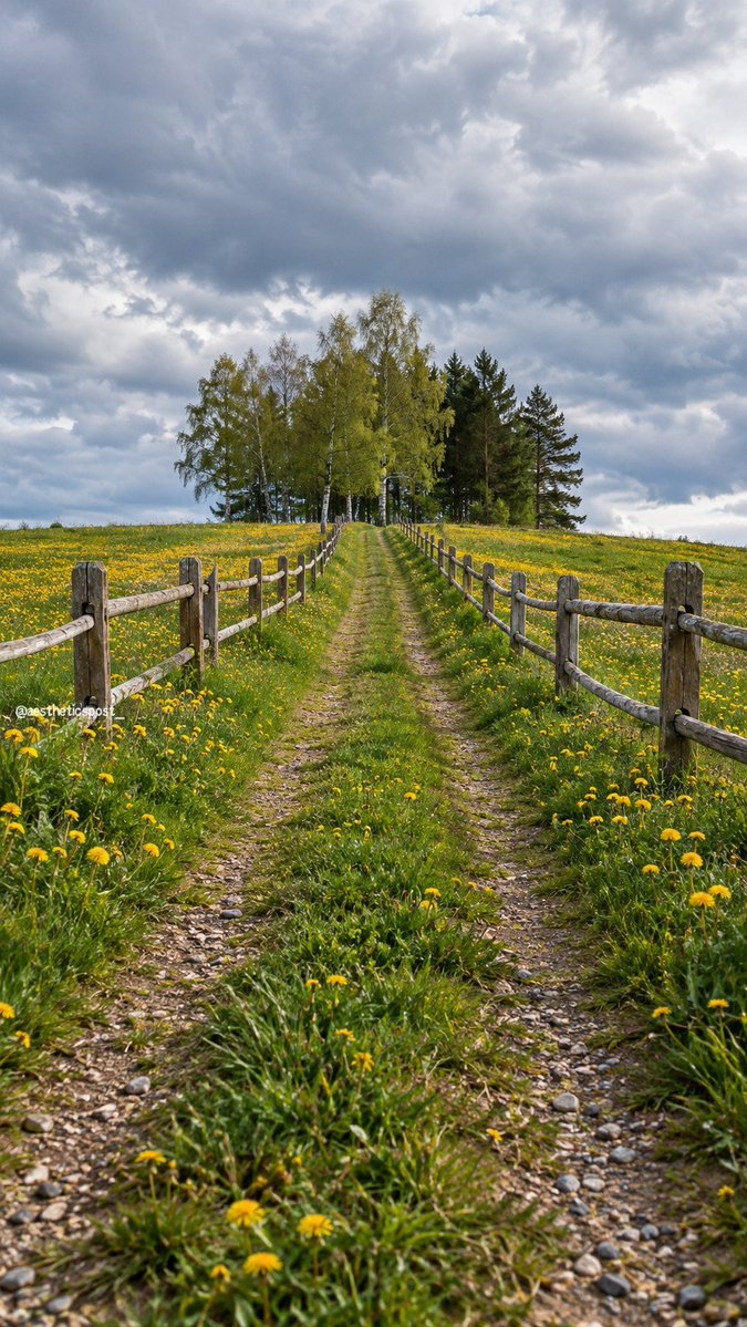 aestheticspost_'s tweet photo. Let's take a walk. https://t.co/qxbbgGvWRr