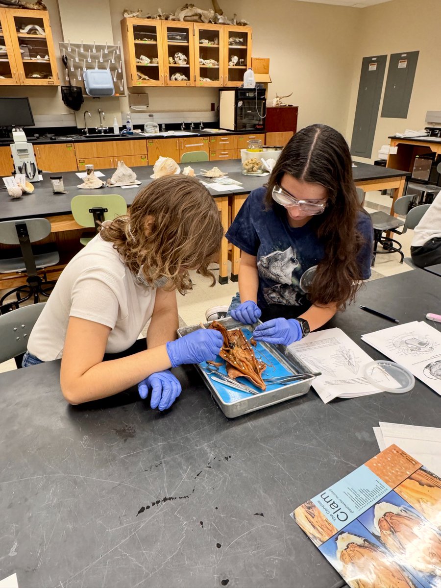 HopeBio's tweet photo. On Tuesday, Dr. Oberski's Invertebrate Zoology class learned about mollusks (Phylum Mollusca) hands-on in lab. This group of animals is the second most diverse after the arthropods (AKA insects &amp; kin)—it contains more species than mammals, birds, fish, and reptiles combined. https://t.co/bwD7HbZeKE