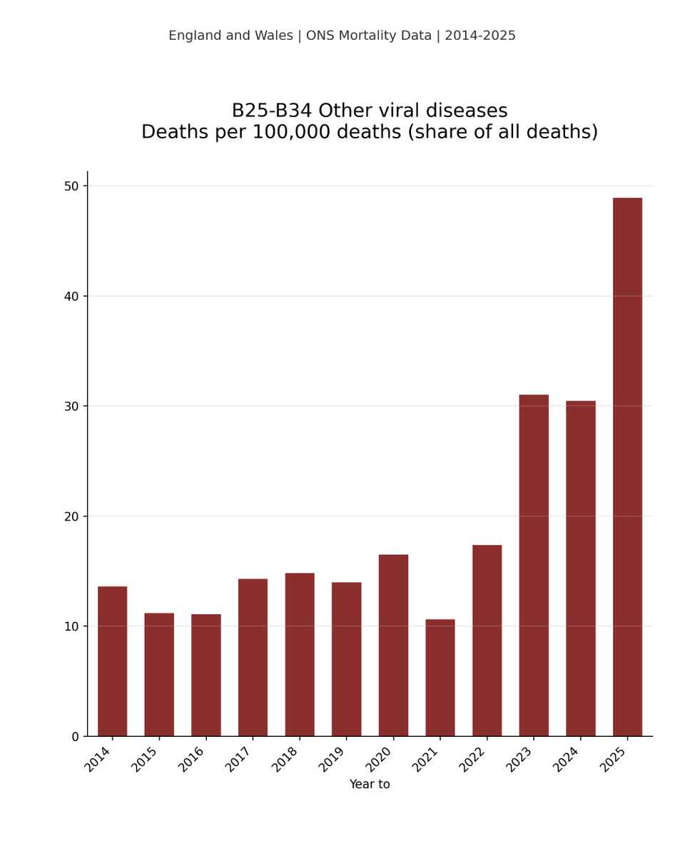 1goodtern's tweet photo. Do Covid infections weaken the immune system making you more vulnerable to other infections?

Even covid infections that seem mild and don't kill you during the acute stage?

Here's deaths caused by 'other viral diseases' as a share of all deaths here: https://t.co/p2XxgXI7EE