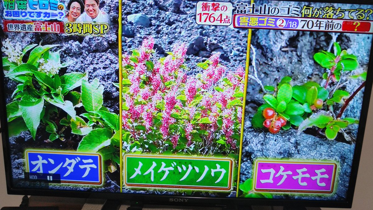 Fe041122's tweet photo. 富士山綺麗にしていただいて見ていて心がスッキリしました🥰
私も来年富士山でゴミ拾いたくさんしたいと思います！！ https://t.co/7wrLv9BnyB
