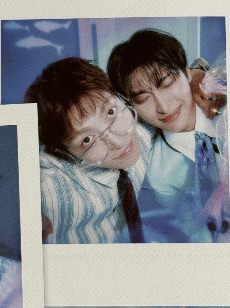 seongllly's tweet photo. oh they're so dear to me its almost unbearable 💔 https://t.co/o2HQOLojAl