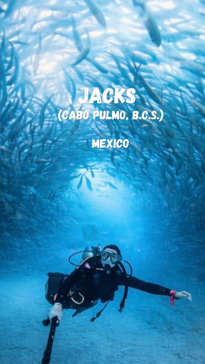 TDN_CASH's tweet photo. 𝓒𝓪𝓫𝓸 𝓟𝓾𝓵𝓶𝓸 🐟🐢🌊
𝑩. 𝑪. 𝑺. 🌵🏜️

#Jacks #Jureles #CaboPulmo #Dive #BajaCaliforniaSur Discovering EnjoyingLife LovelyPeople Wanderlust MiniTrip 2026Adventures AlwaysSmiling https://t.co/MAOOEFv7sZ