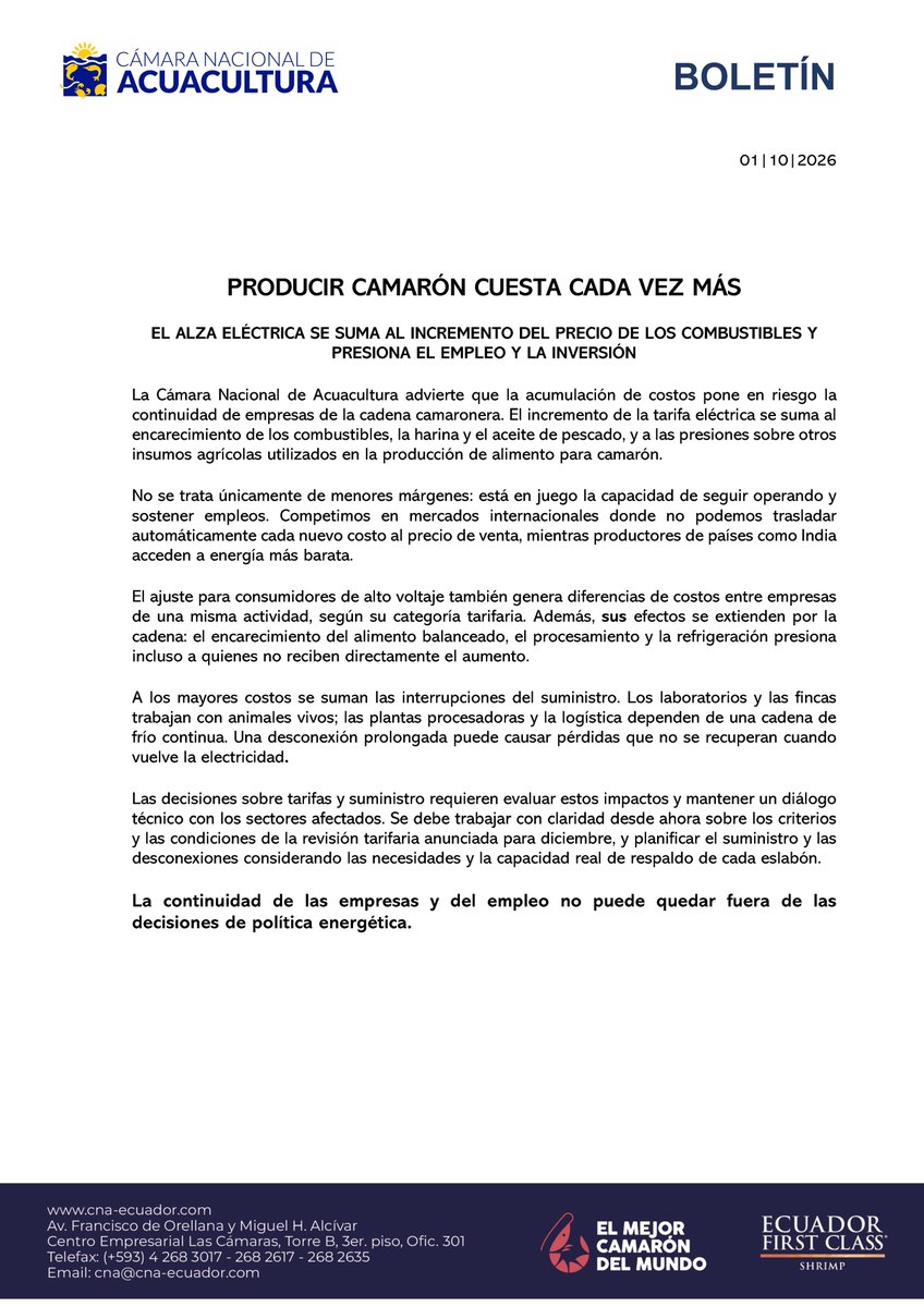 cnaecuador's tweet photo. BOLETÍN | PRODUCIR CAMARÓN CUESTA CADA VEZ MÁS.

El alza eléctrica se suma al incremento del precio de los combustibles y presiona el empleo y la inversión.

La Cámara Nacional de Acuacultura advierte que la acumulación de costos pone en riesgo la continuidad de empresas de la cadena camaronera. El incremento de la tarifa eléctrica se suma al encarecimiento de los combustibles, la harina y el aceite de pescado, y a las presiones sobre otros insumos agrícolas utilizados en la producción de alimento para camarón.