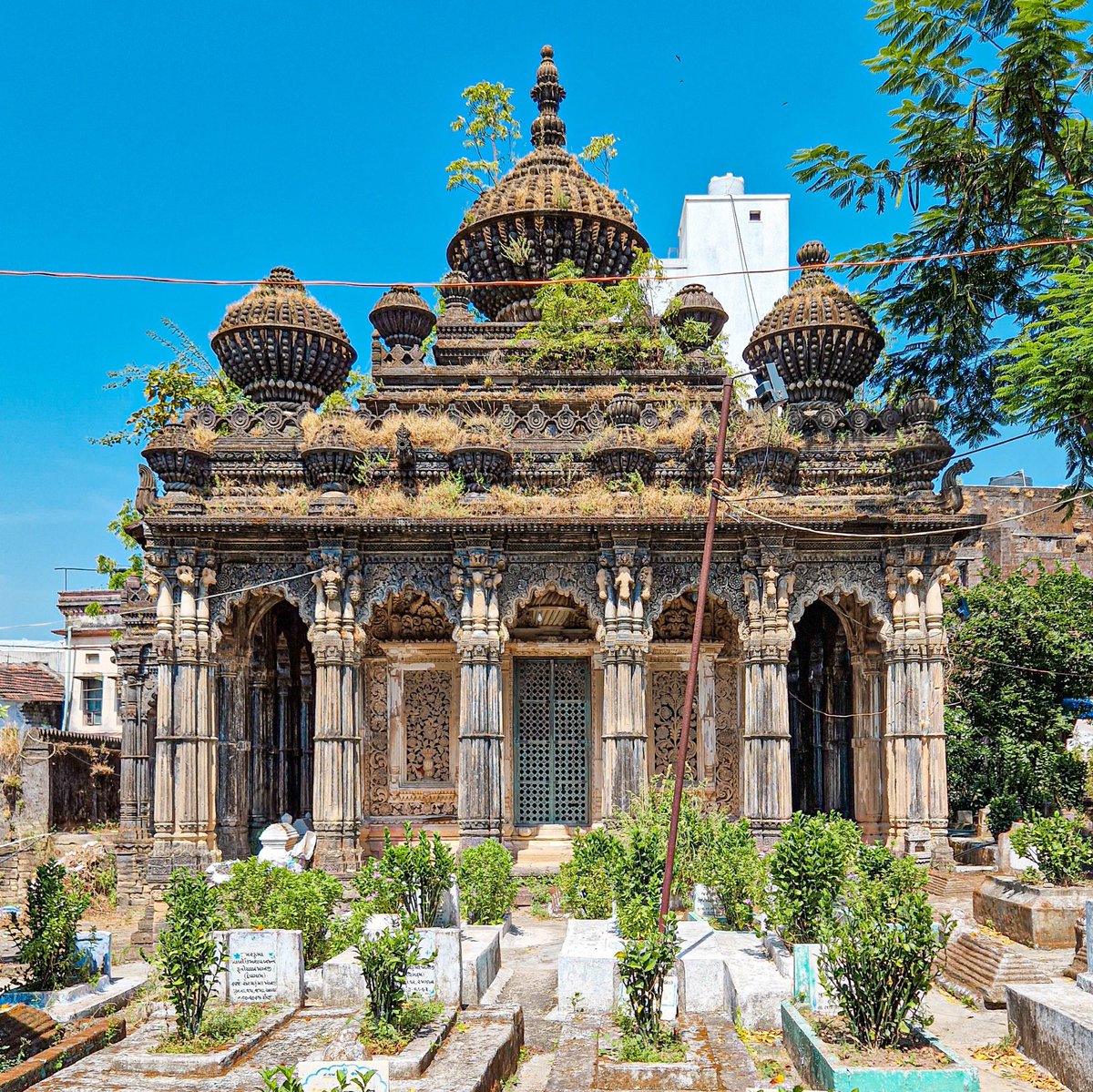 SamDalrymple123's tweet photo. The Babi Tombs of Junagadh

In the Gujarati town of Junagadh lies one of the most extraordinary (and neglected) tomb complexes anywhere in India. https://t.co/3bhXOcj7YV