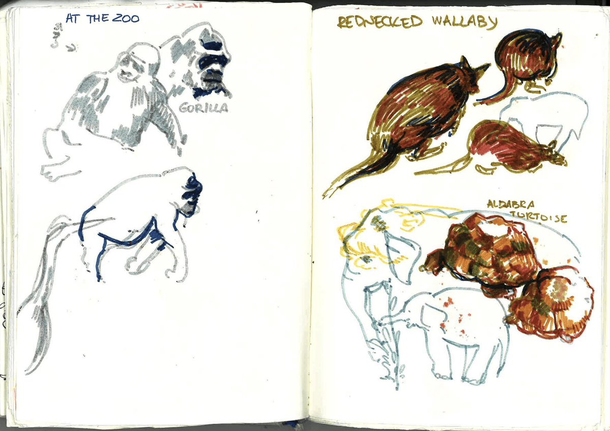 ascoevs's tweet photo. scanned some sketchbook spreads https://t.co/jfaGKDhUjs
