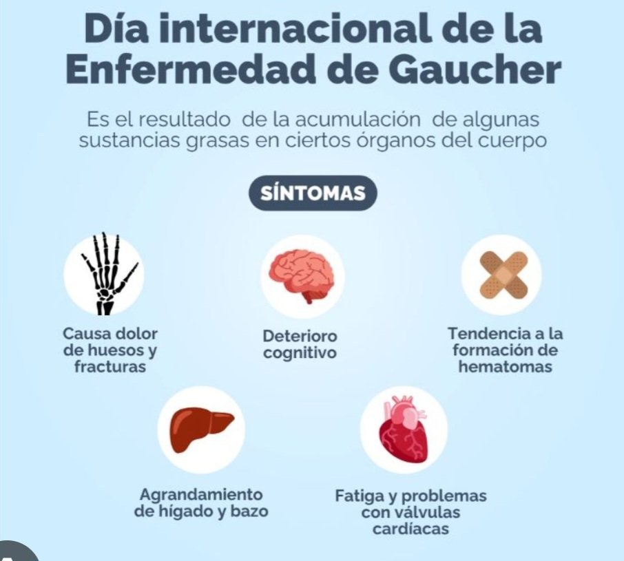 AneYanet's tweet photo. Día Mundial de la Enfermedad de Gaucher, en el que se ofrece apoyo a todos los pacientes y familias que conviven con esta patología y se insiste en la importancia de promover la investigación, para prever diagnósticos y tratamientos erróneos.
#CubaPorLaSalud https://t.co/WbXrU645Gg