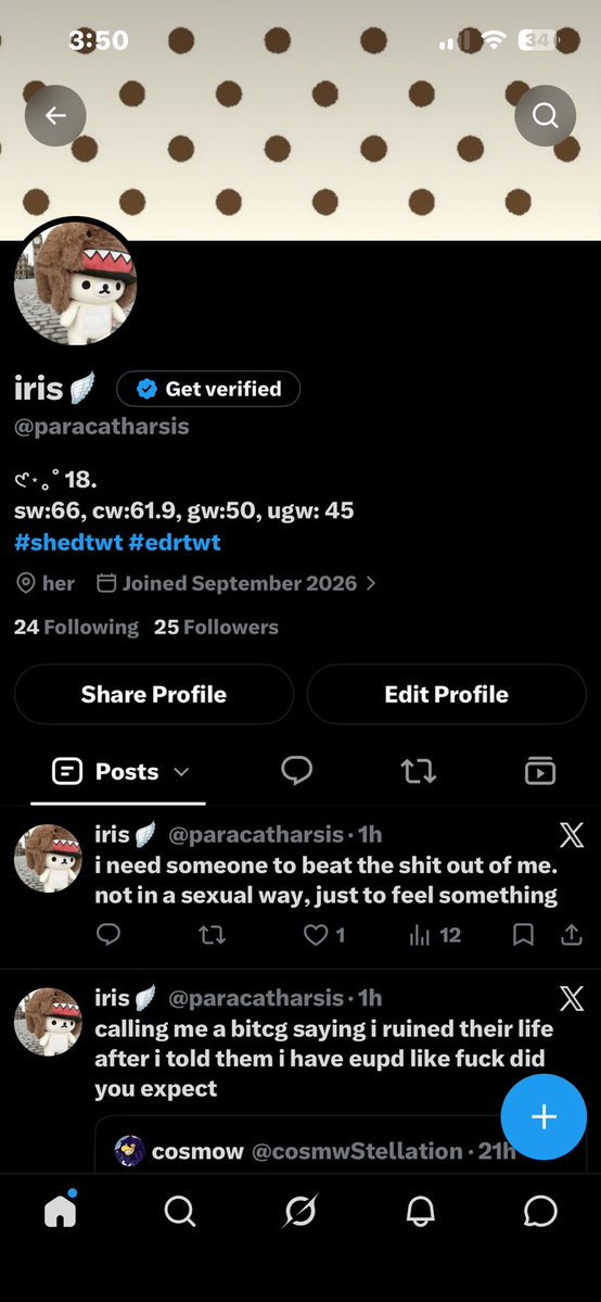 paracatharsis's tweet photo. new layout (don’t forget me💔) https://t.co/wXJK9sdAGY