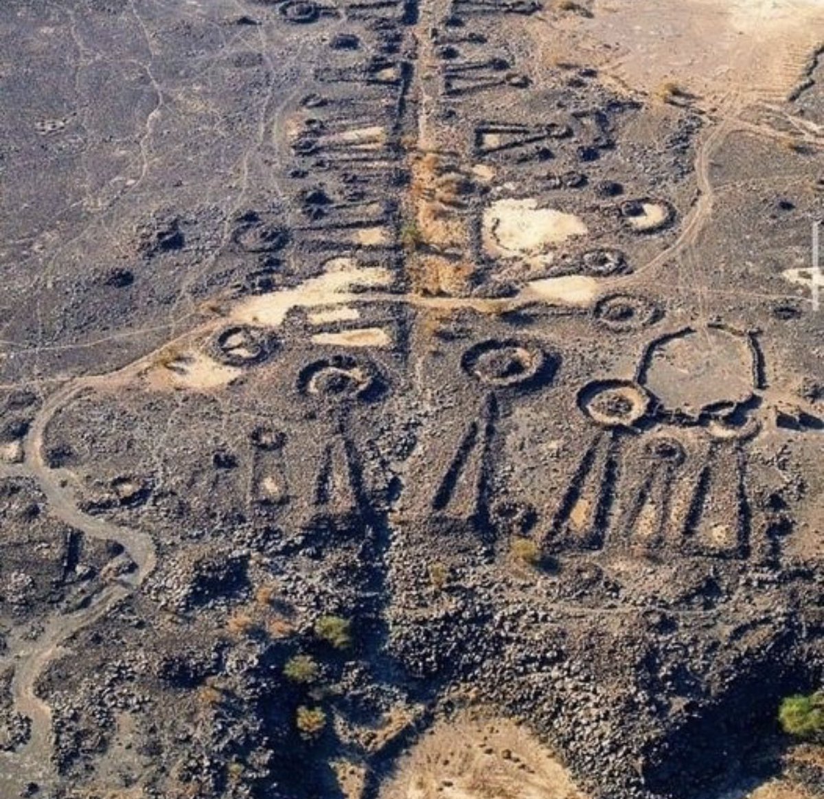 BrianRoemmele's tweet photo. Archaeologists in Saudi Arabia have discovered a 4,500-year-old network of highways lined with well-preserved ancient tombs. 

Researchers from the University of Western Australia conducted a large-scale investigation over the past year, consisting of aerial surveys by helicopter, ground surveys and excavations, and the study of satellite images. 

The team discovered approximately 18,000 tombs along the avenues of graves, 80 of which have been sampled or excavated for research.