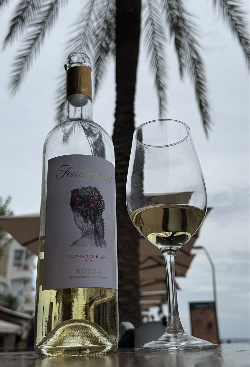 flogemba's tweet photo. 🌊🍽️ Una visita a Vela Mar, con el mar como escenario y Fenomenal Sauvignon Blanc 2025 como protagonista.

Disfrutamos de unos calamares y un arroz con secreto lleno de sabor, acompañados por un vino fresco y aromático que combinó a la perfección con cada plato. 🦑🍚🍷 https://t.co/2wi01xq3zU