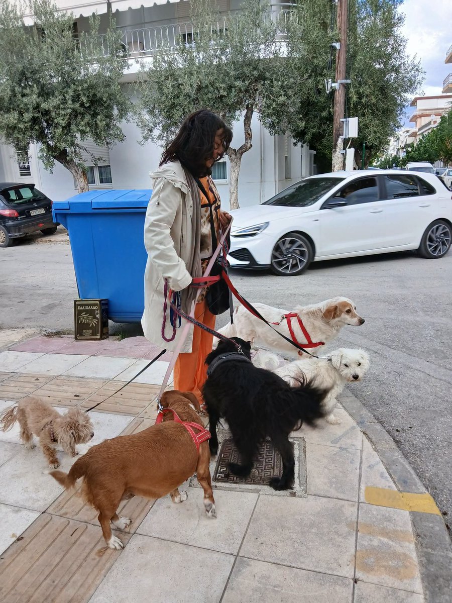 Christinalirou2's tweet photo. ‼️‼️‼️‼️‼️‼️‼️‼️‼️
Ο σύλλογος Αγαπης για τα ζώα " Βλάσης" έχει ανάγκη από ανθρώπους που αγαπούν τα ζωάκια για να βγάζουν βόλτα τα σκυλάκια του καταφυγιου. Κοινοποιούμε παιδιά να γίνει γνωστό στους κατοίκους της Κορίνθου να βοηθήσουν. https://t.co/vXXoj6uDTx