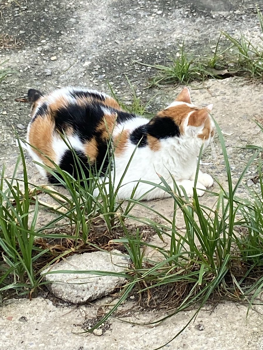 ajudealindinha's tweet photo. Oi tios. Tudo bem ? Vcs podem me ajudar pra comprar minha comidinha ? 😢😢
o pix da minha mãe é wictoriaviana@hotmail.com https://t.co/9u1UrTZBQW