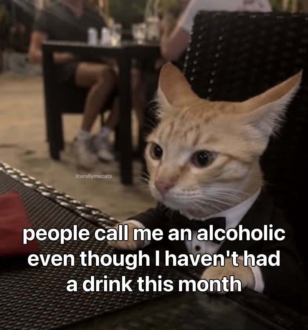 literallymecats's tweet photo. https://t.co/H9TNwWqelz