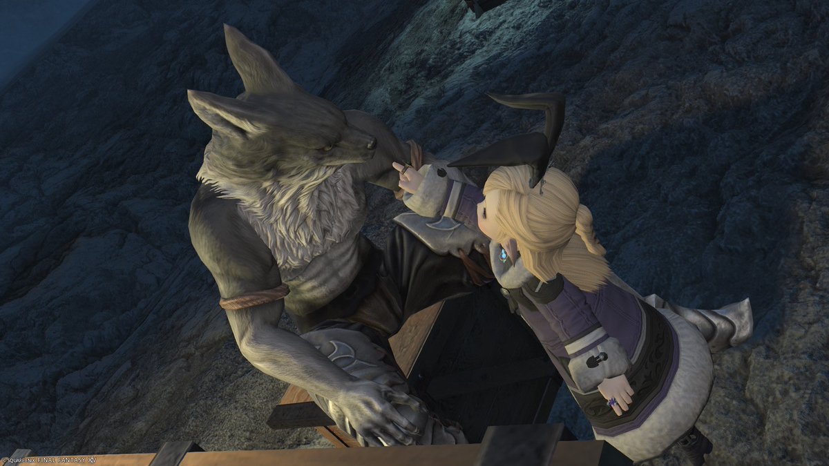 Lolopu_ff14's tweet photo. ガレマルドにいるワンコは耳がピクピクしてしっぽも動くんですか！！かわいいいい https://t.co/uKkcAHymC1