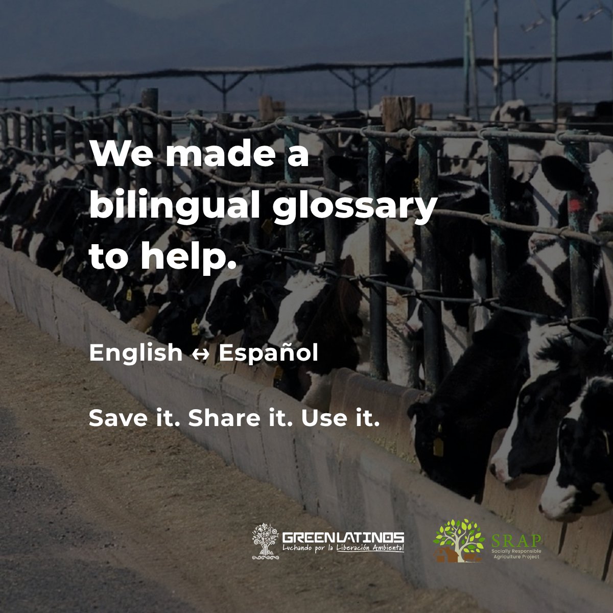 SRAProject's tweet photo. The language around industrial animal operations can be confusing. 

@GreenLatinos and @SRAProject created a bilingual English–Spanish glossary to help Latino/a/e communities understand the terms and conversations surrounding CAFOs.

Explore + share: https://t.co/mFOOaSfa6U https://t.co/c8Wkc32Sjt