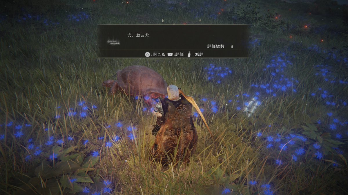 Chitanumu's tweet photo. そういえば、みんな亀の事を「犬」って表現するの面白くて好きꉂ🤣𐤔
最初狼のこと言ってるのかと思ってたんだ😂笑

 #エルデンリング https://t.co/CRUJ8UiMy0