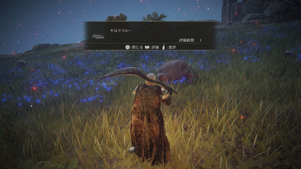 Chitanumu's tweet photo. そういえば、みんな亀の事を「犬」って表現するの面白くて好きꉂ🤣𐤔
最初狼のこと言ってるのかと思ってたんだ😂笑

 #エルデンリング https://t.co/CRUJ8UiMy0