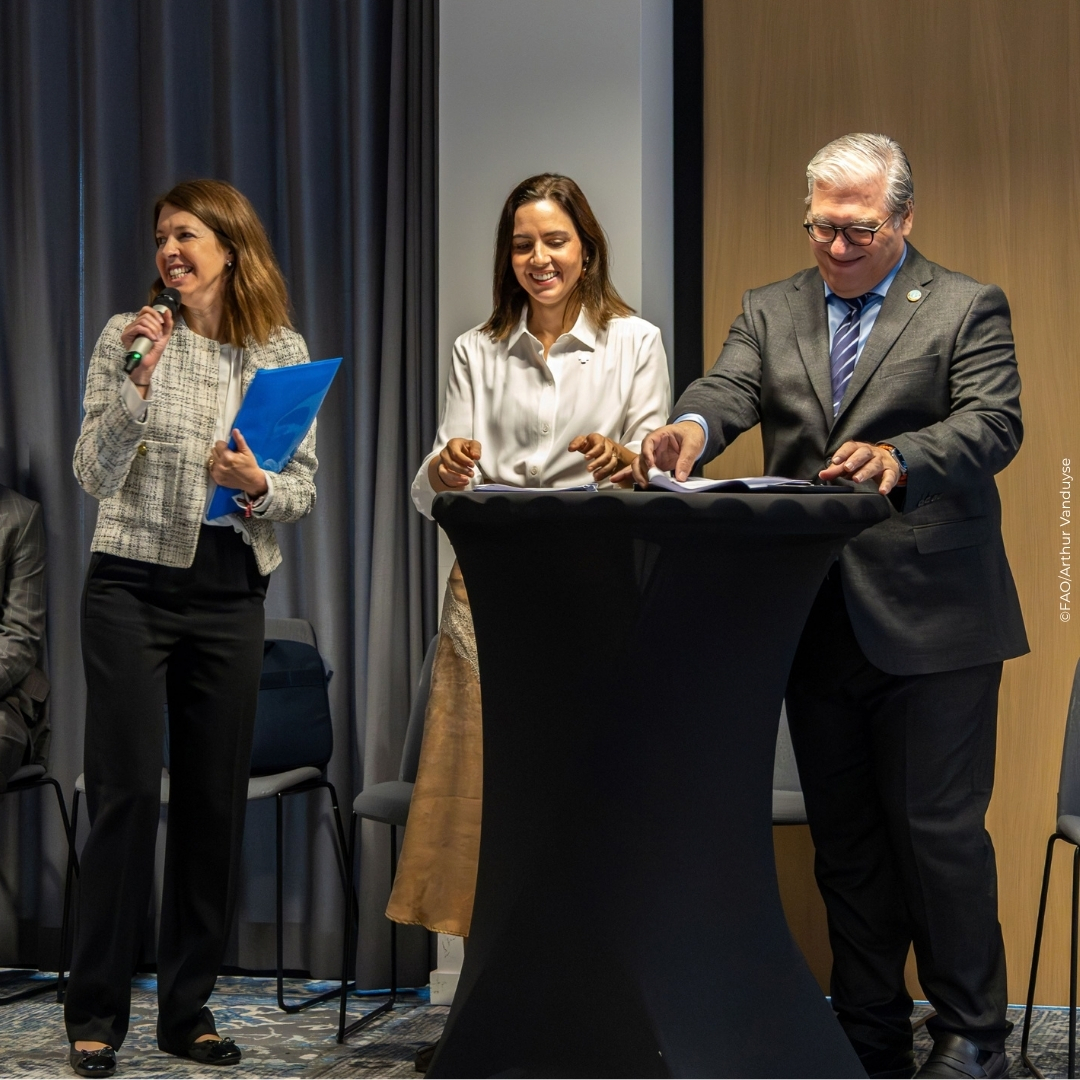 FAOBrussels's tweet photo. @Raschad_AK @maumartina @ITCnews @FAOSocioEcon @FAOstatistics @FAOForestry @eudeleg_rome With @FAO's support, @ITCNews &amp; the European Coffee Federation brought together coffee producers, consumers, &amp; EU partners at the UN House in Brussels to celebrate the 1st Intl #CoffeeDay!

Learn how the event spotlighted coffee-growing communities! 👉 https://t.co/crQ3q3nMqA https://t.co/oJ0Qwls1Fw
