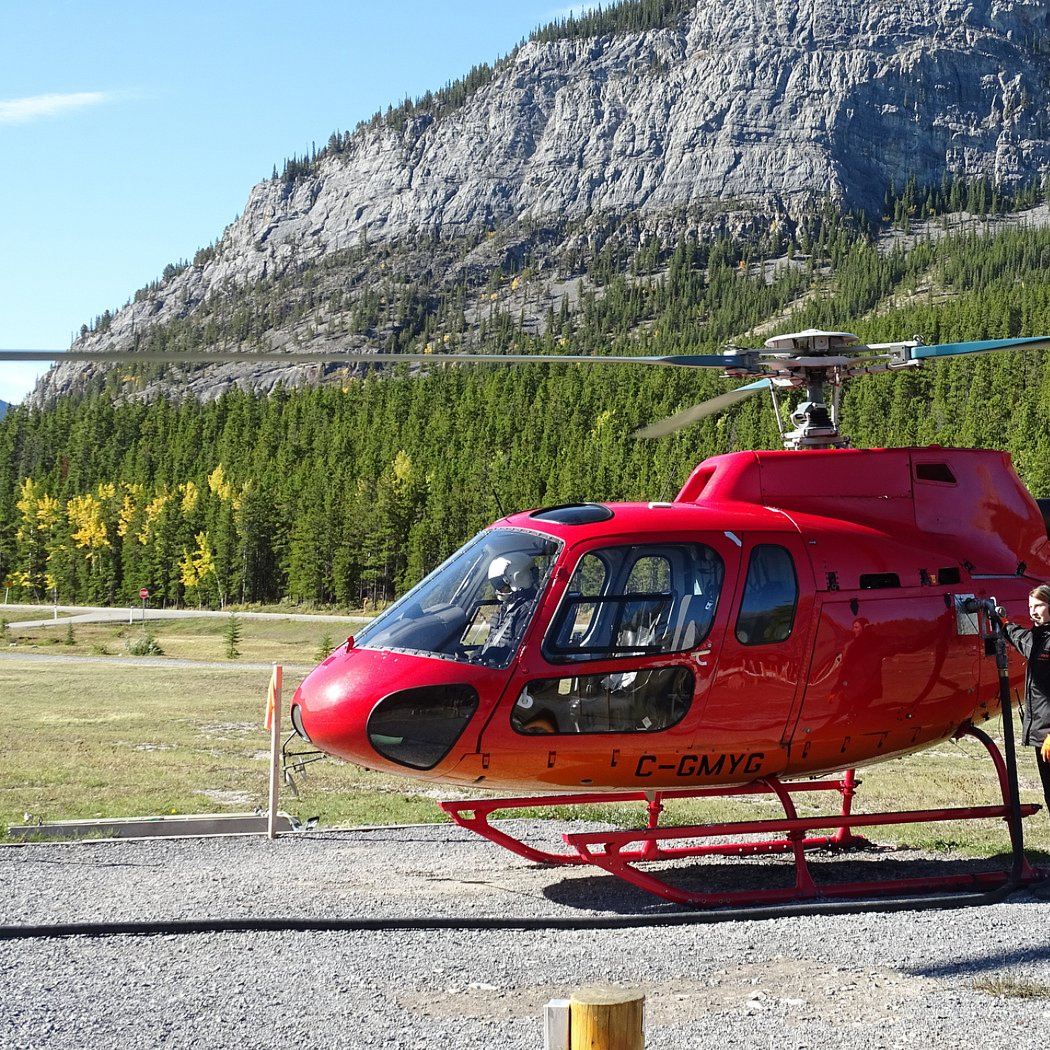 CrossingResrt's tweet photo. #October is your last chance to see the stunning #FallColours along the #IcefieldsParkway! 🍂 Enjoy Fall hikes and attractions. Book our Fall Spectacular #package: $199 for 2 guests + #FREEBreakfast! 👉 https://t.co/cd1fynrqBw
*Icefields Explorer & Glacier Skywalk close Oct 12* https://t.co/RyRAcSysdY