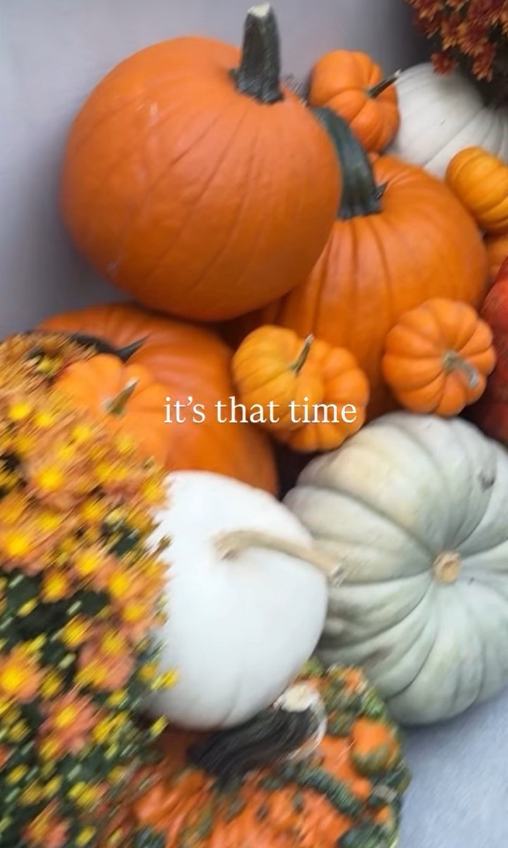 starsafairy's tweet photo. october 🏹🧡☕️🍂💀🍁🐿️ https://t.co/h2lszbAoHK
