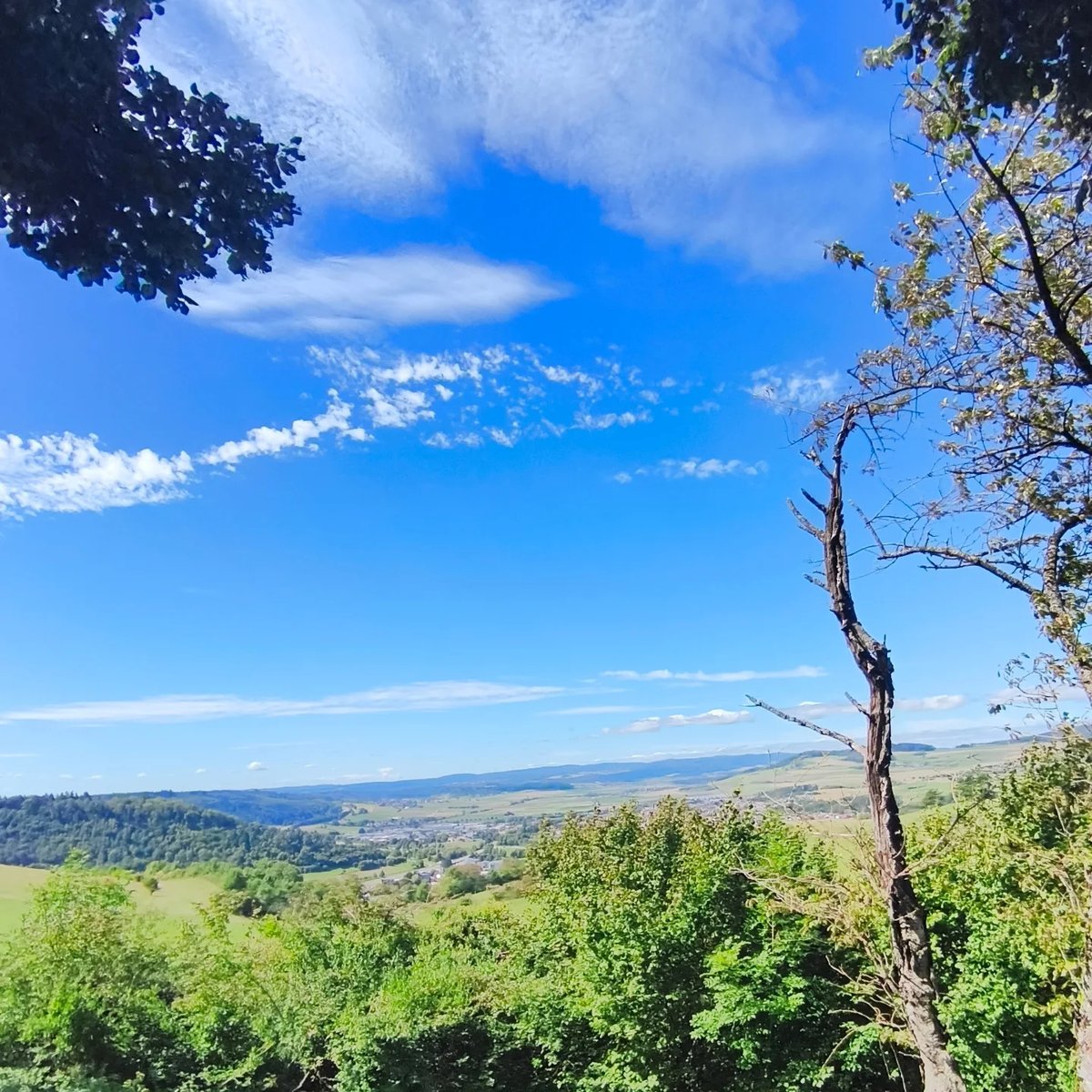 leojpb's tweet photo. Wanderung am Sonntag, dem 31. 08. 2025 am Hohentwiel bei Singen. #hohentwiel #singen #wandernmachtglücklich #wandern #bodenseeregion #wandernindeutschland #weinberge #weintrauben #august #spätsommer #dankbar https://t.co/DEIQGwbrrV