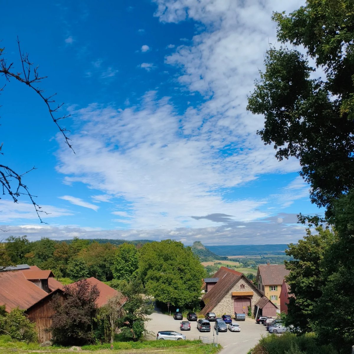 leojpb's tweet photo. Wanderung am Sonntag, dem 31. 08. 2025 am Hohentwiel bei Singen. #hohentwiel #singen #wandernmachtglücklich #wandern #bodenseeregion #wandernindeutschland #weinberge #weintrauben #august #spätsommer #dankbar https://t.co/DEIQGwbrrV